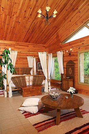 2561-13.jpg 2561-13.jpg