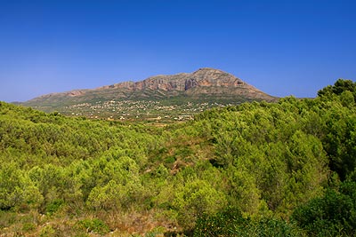 2561-7.jpg 2561-7.jpg