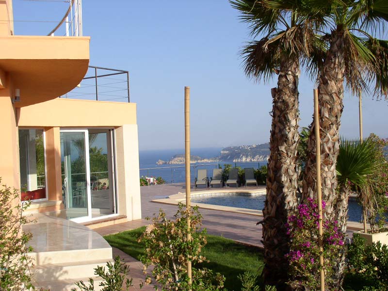 view_detail_with_palm_tree.jpg view_detail_with_palm_tree.jpg