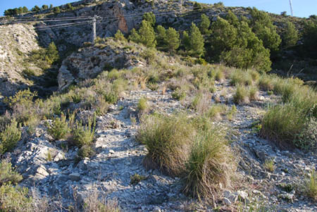 parcelas_urbatec_022.jpg
